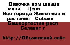 Девочка пом шпица мини  › Цена ­ 30 000 - Все города Животные и растения » Собаки   . Башкортостан респ.,Салават г.